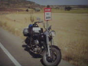 purple-at-469.jpg