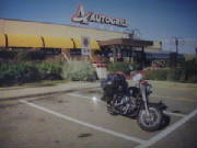 purple-autogrille.jpg