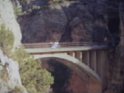 purple-on-bridge-near.jpg